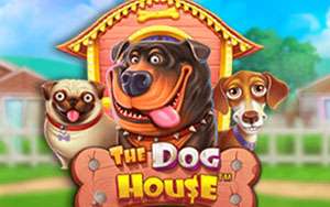 The bog house играть в онлайн casino7